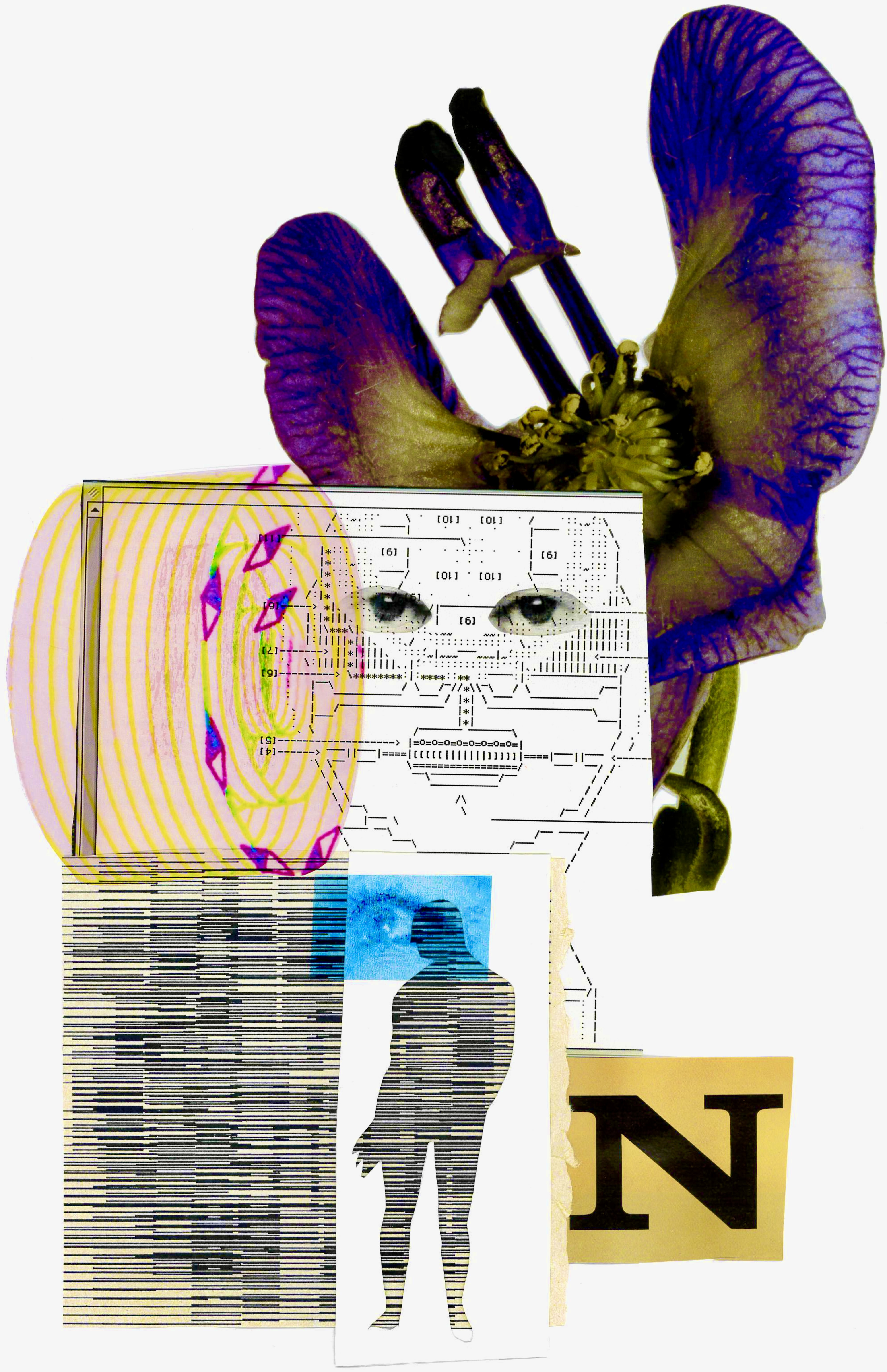 The image shows an assortment of abstract graphics that have been cut out and reassembled into a collage. Among them are eyes, abstract shapes, the letter N, an orchid blossom in the background, the outline of a person and a face composed of text editor characters. The dominant colours are violet, various shades of yellow, beige, green, blue and white.